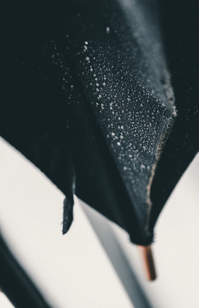 Printed umbrella