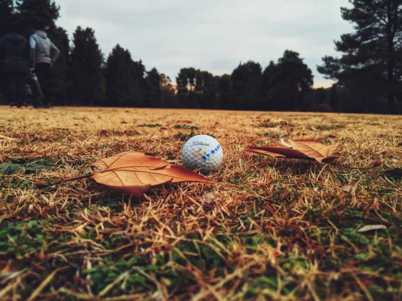 How to choose the best golf umbrella?