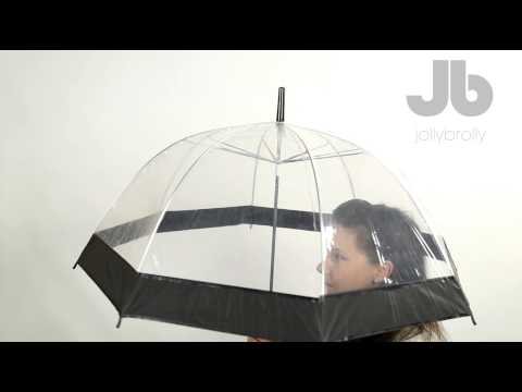 Clear dome umbrella in black