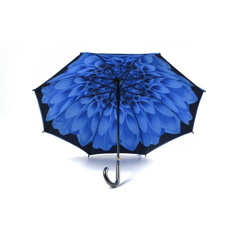 Blue Dahlia Flower Umbrella Under Canopy