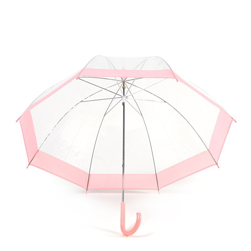 Pink Stripe Clear Dome Umbrella Under Canopy