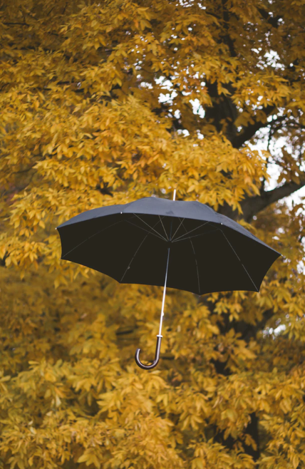 umbrella-superstitions