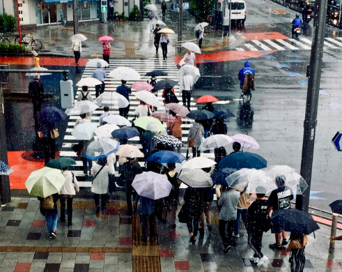 busy rainy street and lots of people holding umbrellas
