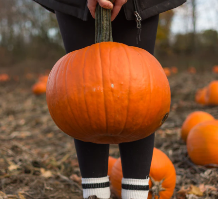 umbrella-halloween-costumes