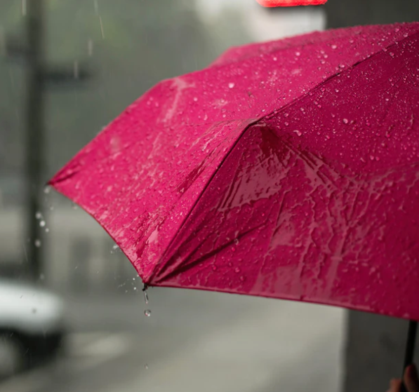a dripping umbrella