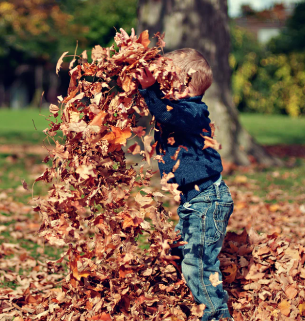 a child throwing leaves in the air