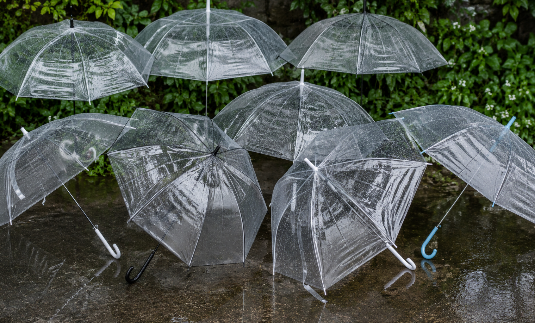 Clear Umbrellas for Rainy Days: Practical or Just Stylish?