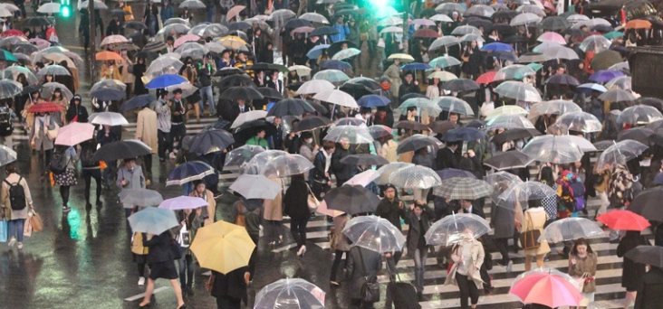 The Science Behind Clear Canopies