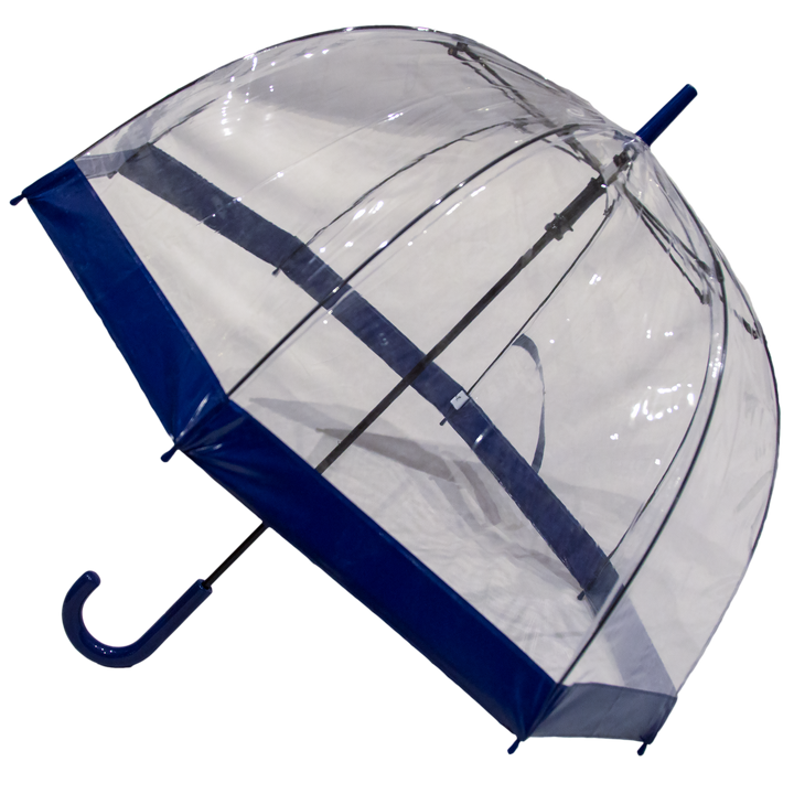 Everyday Clear Vinyl Dome Umbrella Blue