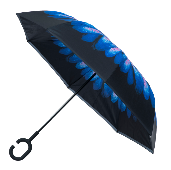 Everyday Inside Out Blue Daisy Stick
