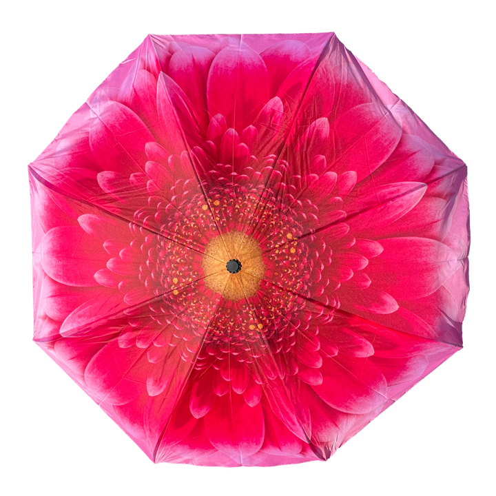 Everyday Inside Out Gerbera Daisy Stick