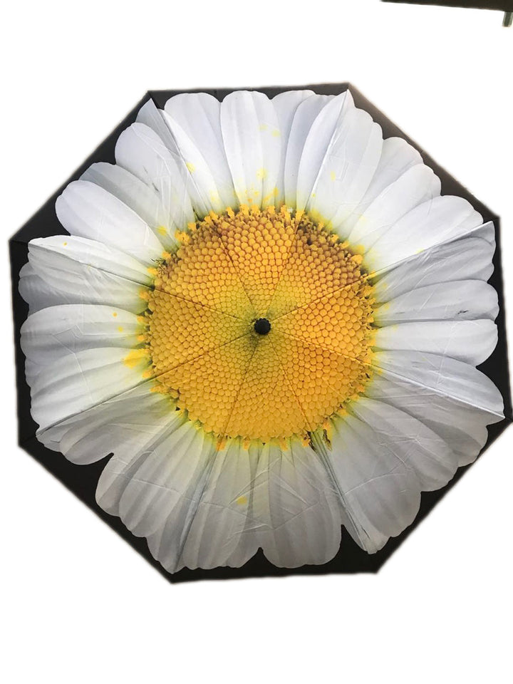 Everyday Inside Out Umbrella White Daisy Stick