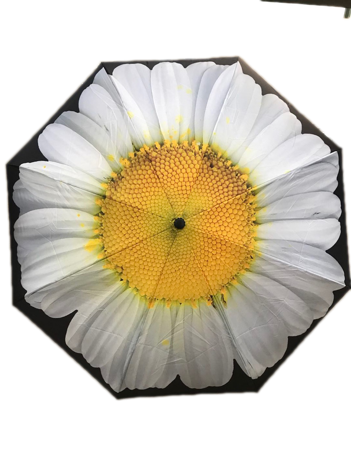 Everyday Inside Out Umbrella White Daisy Stick