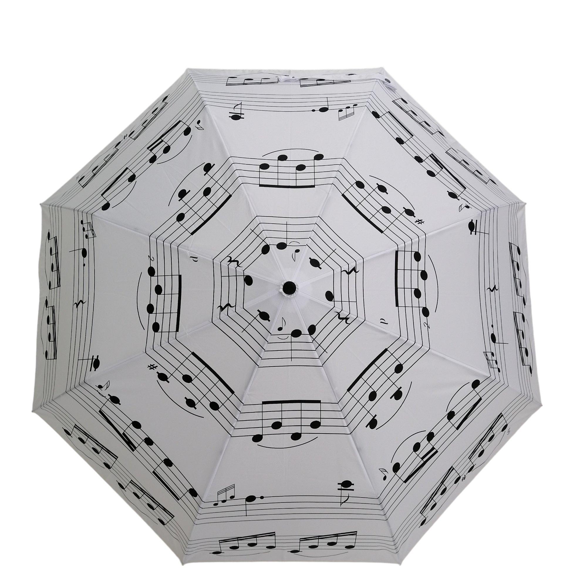 Music Notes Folding White with Black Notes – Jollybrolly