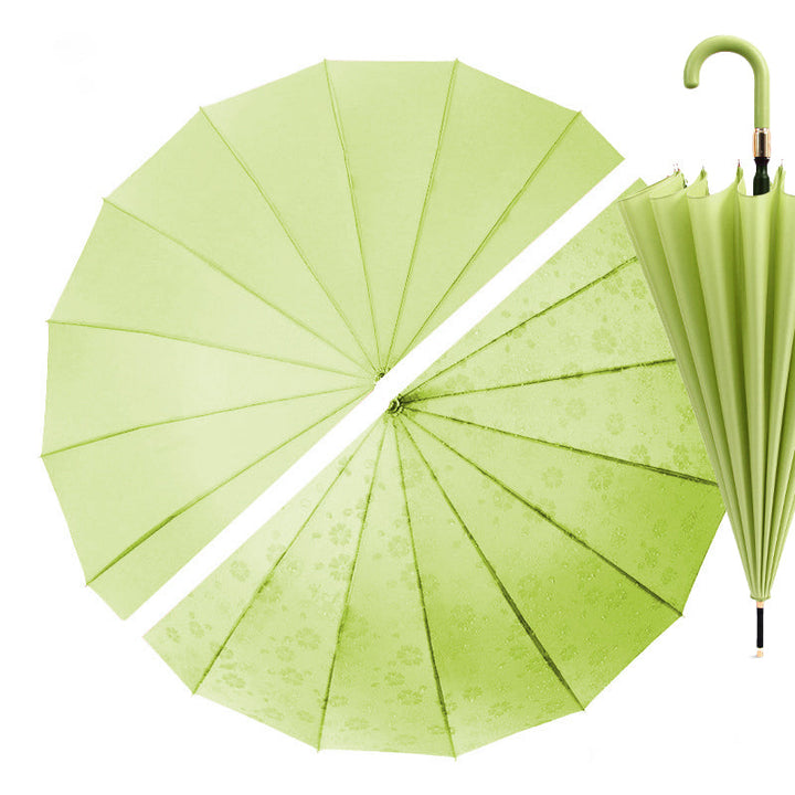 Everyday Classic Colour change Avocado Green