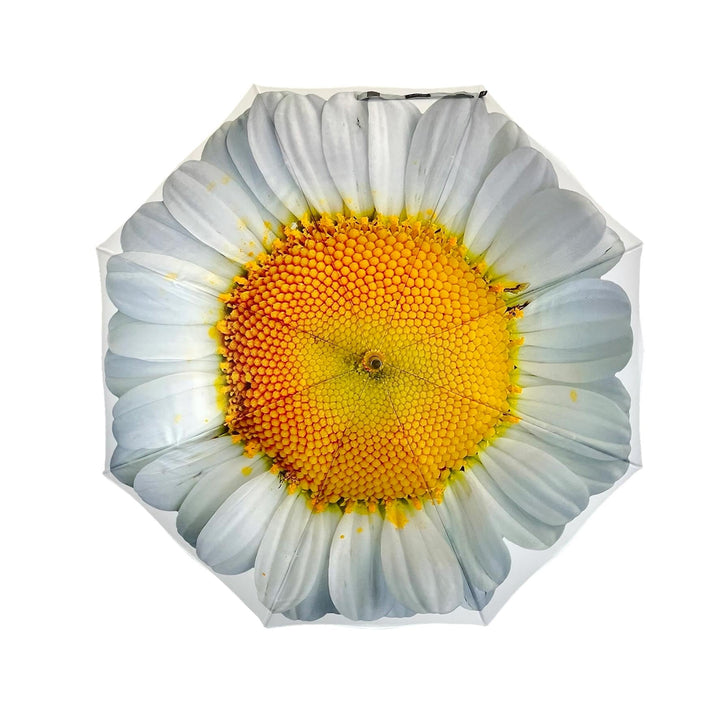 StormKing Floral White Daisy Classic Stick Umbrella