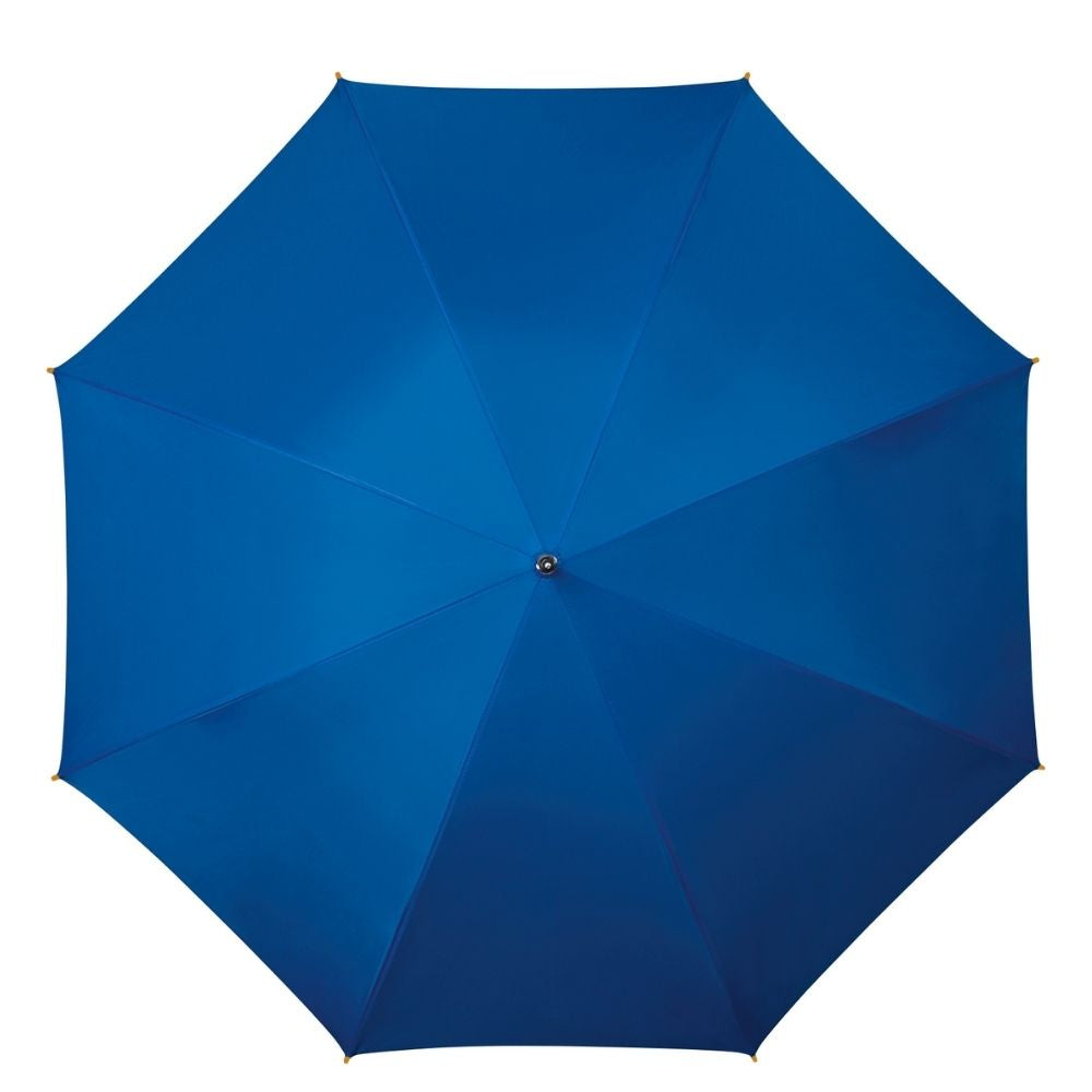 Blue Wood Stick Walking Umbrella Top Canopy