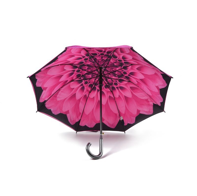 Pink Dahlia Flower Umbrella Under Canopy