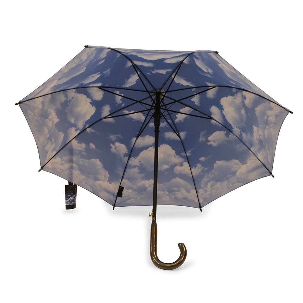 Sky and Clouds Blue Walking Umbrella Under Canopy