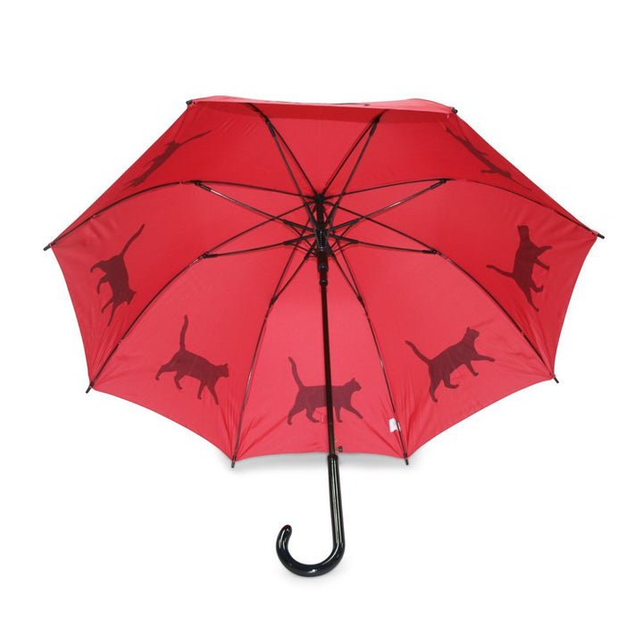 Cat Black on Red Umbrella UK Under Canopy