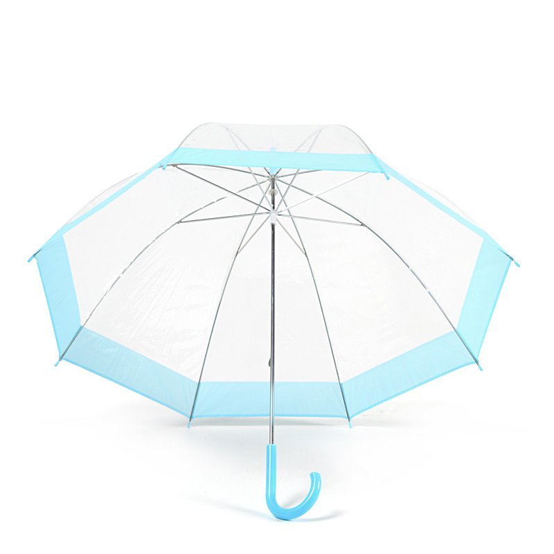 Blue Stripe Clear Dome Umbrella Under Canopy