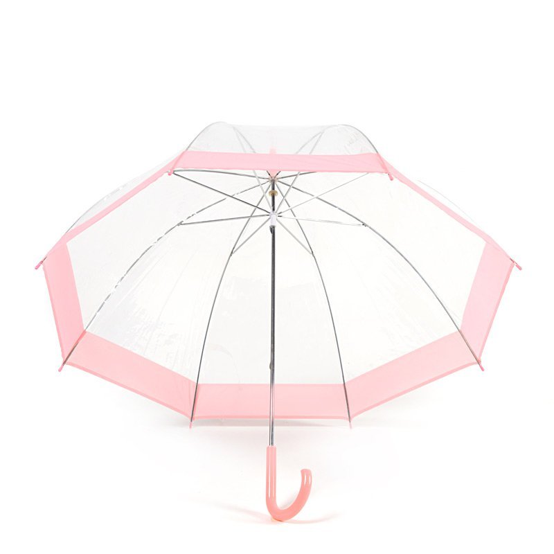 Pink Stripe Clear Dome Umbrella Under Canopy