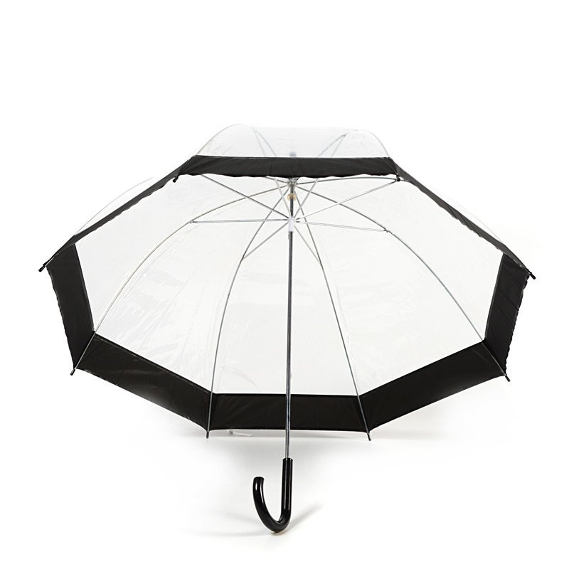 Black Stripe Clear Dome Umbrella Under Canopy