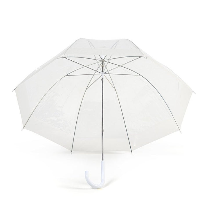 White Stripe Clear Dome Umbrella Under Canopy