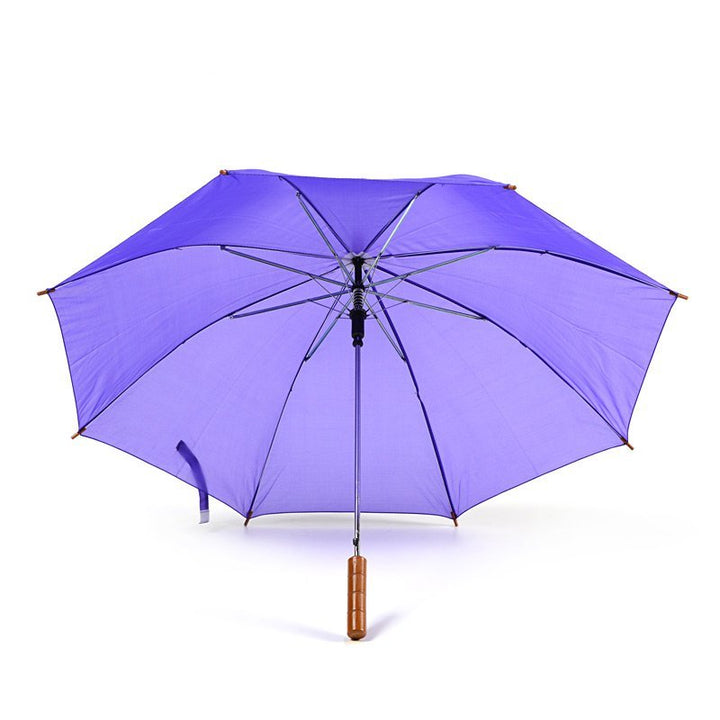 Purple Plain Cheap Jollybrolly Umbrella Under Canopy