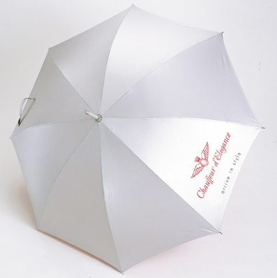 City umbrella silver